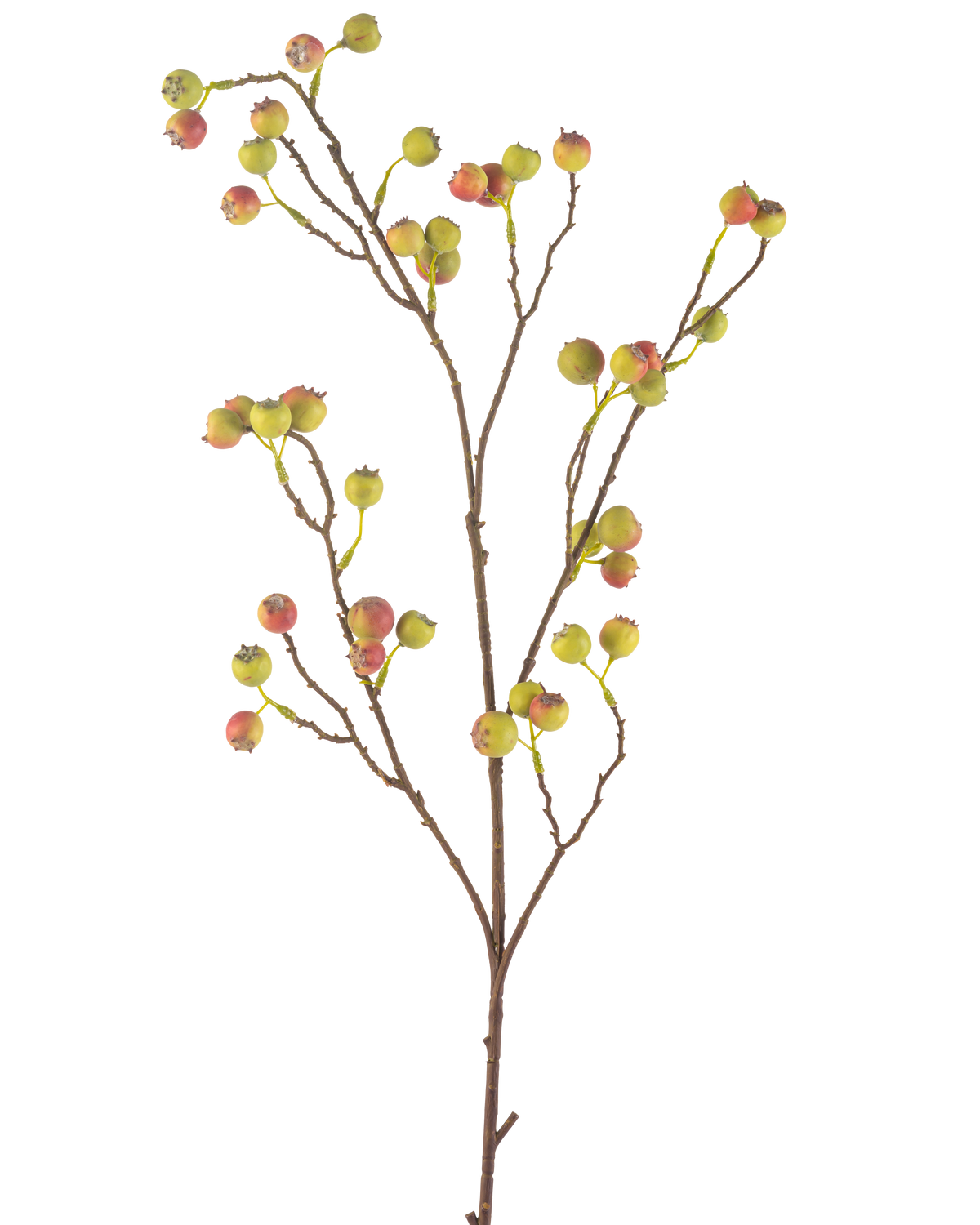 Il fiore artificiale Bacca di biancospino 104 cm verde/rosso ha un sottile stelo marrone con diversi germogli, ciascuno decorato con mazzi di piccole bacche verdi e rosse, su uno sfondo bianco.