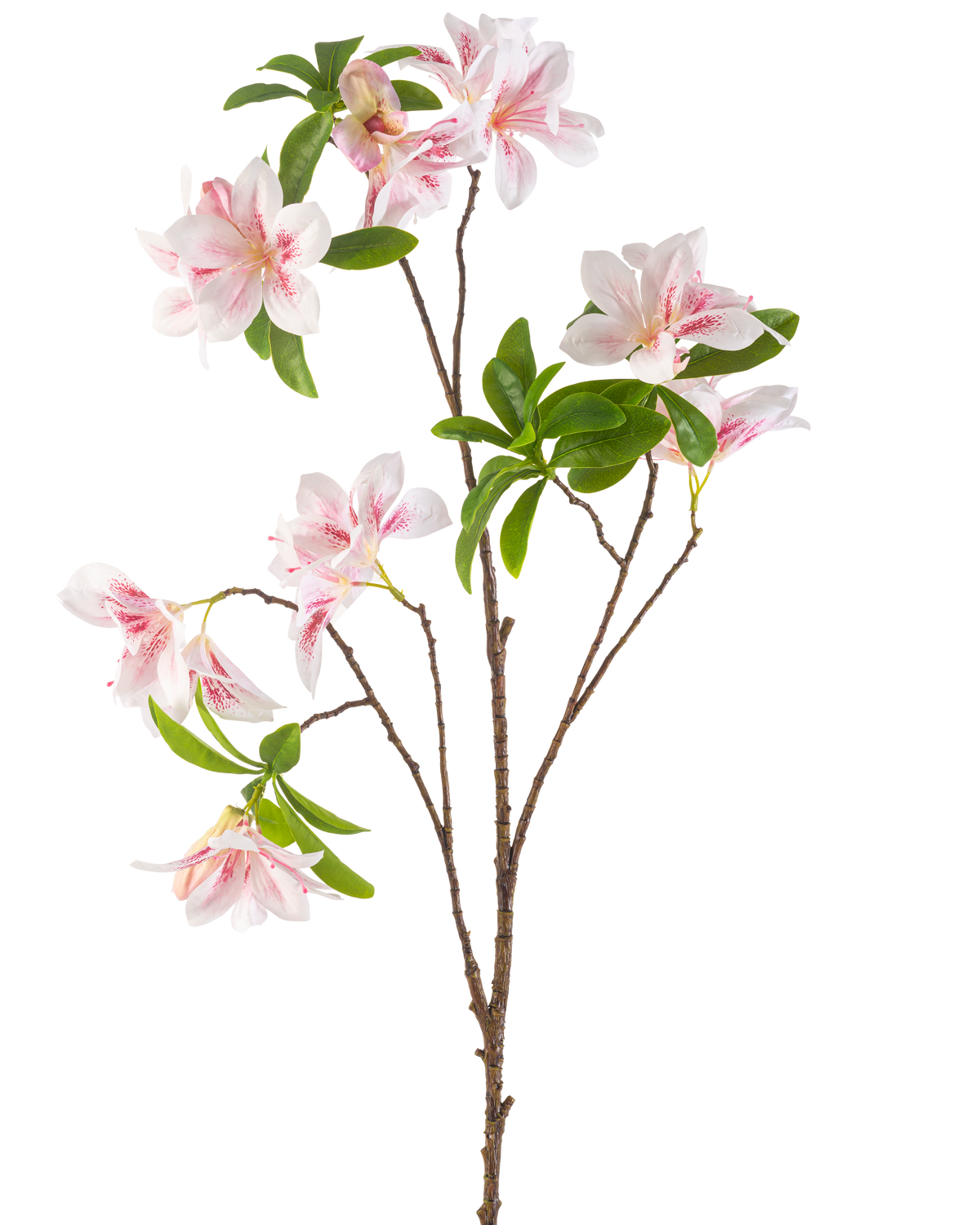Il fiore artificiale Begonia 99 cm blush ha un ramo singolo con fiori di begonia multipli rosa e bianchi e mazzi di foglie verdi su uno sfondo bianco.