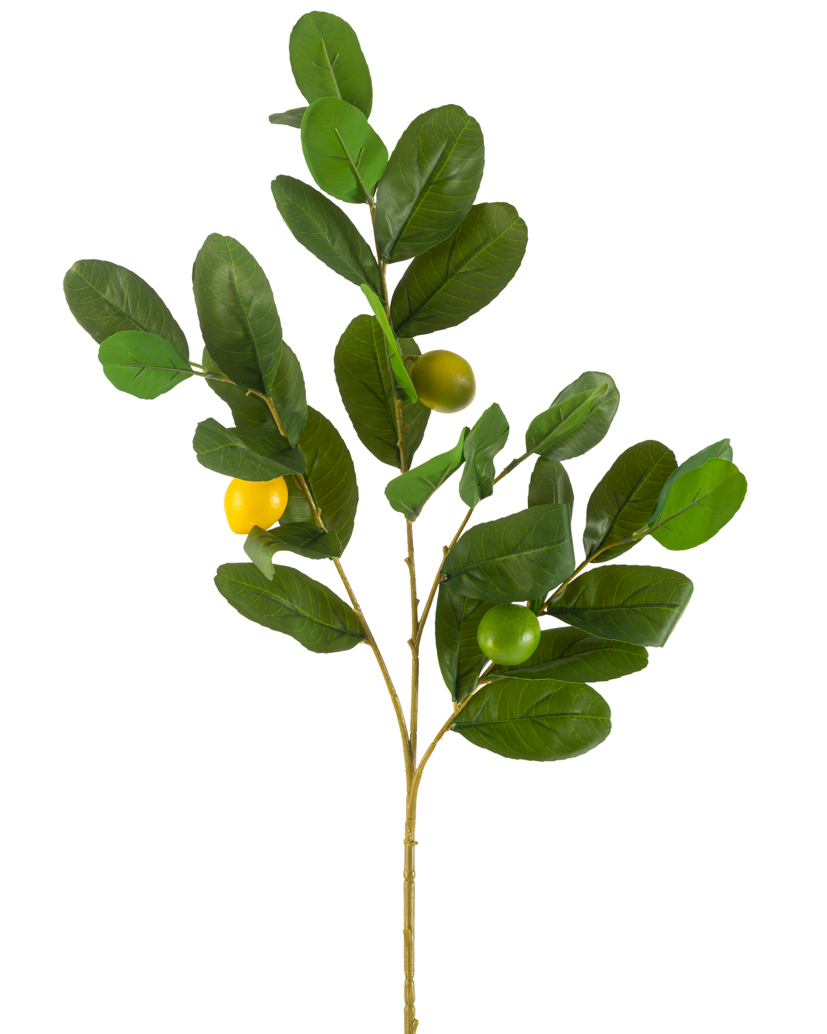 Il ramo artificiale di limone verde da 80 cm ha un ramo con larghe foglie verdi lucide e tre frutti rotondi giallo-verdi, su uno sfondo bianco uniforme.