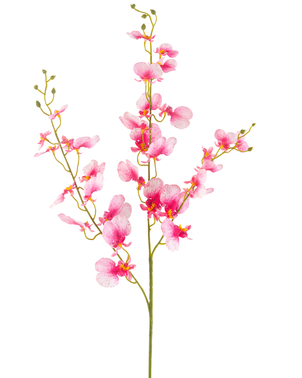 Il fiore artificiale di orchidea rosa da 98 cm ha un unico stelo con rami multipli di vivaci fiori di orchidea rosa, petali delicati e boccioli verdi, su uno sfondo bianco semplice.