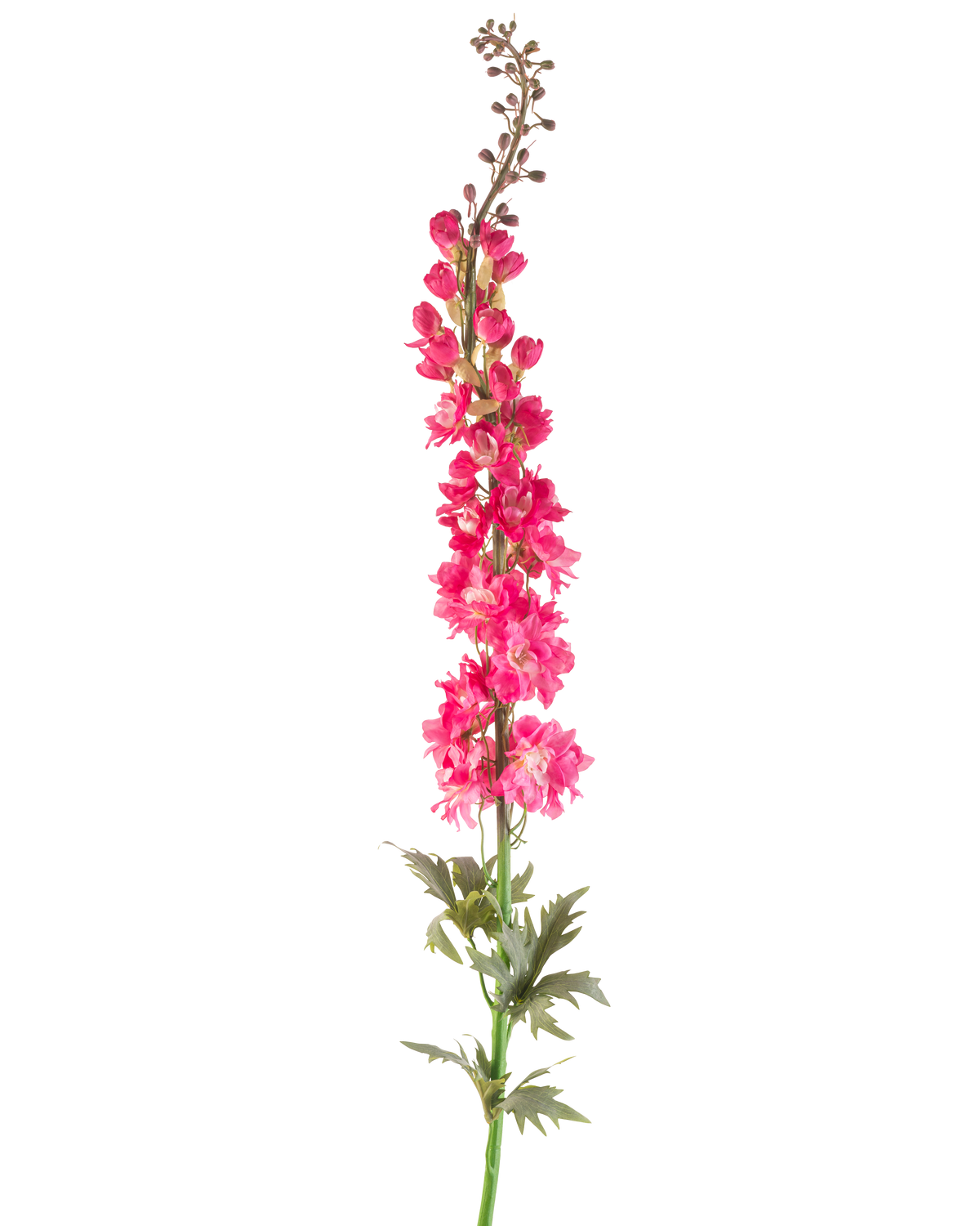 Un singolo fiore artificiale Larkspur 137 cm in rosa brillante con foglie verdi, isolato su sfondo bianco.