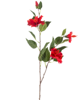 Il fiore artificiale di ibisco rosso da 89 cm ha un unico stelo con tre fiori di ibisco rossi vivaci e foglie verdi lussureggianti su uno sfondo bianco.