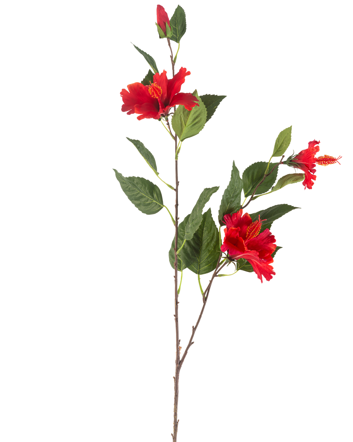 Il fiore artificiale di ibisco rosso da 89 cm ha un unico stelo con tre fiori di ibisco rossi vivaci e foglie verdi lussureggianti su uno sfondo bianco.
