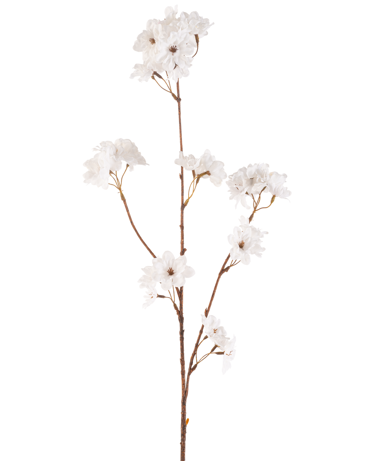 Il fiore artificiale di ciliegio color crema da 85 cm ha un sottile stelo marrone con rami multipli che sostengono mazzi di delicati fiori di ciliegio artificiali color crema, il tutto su un semplice sfondo bianco.