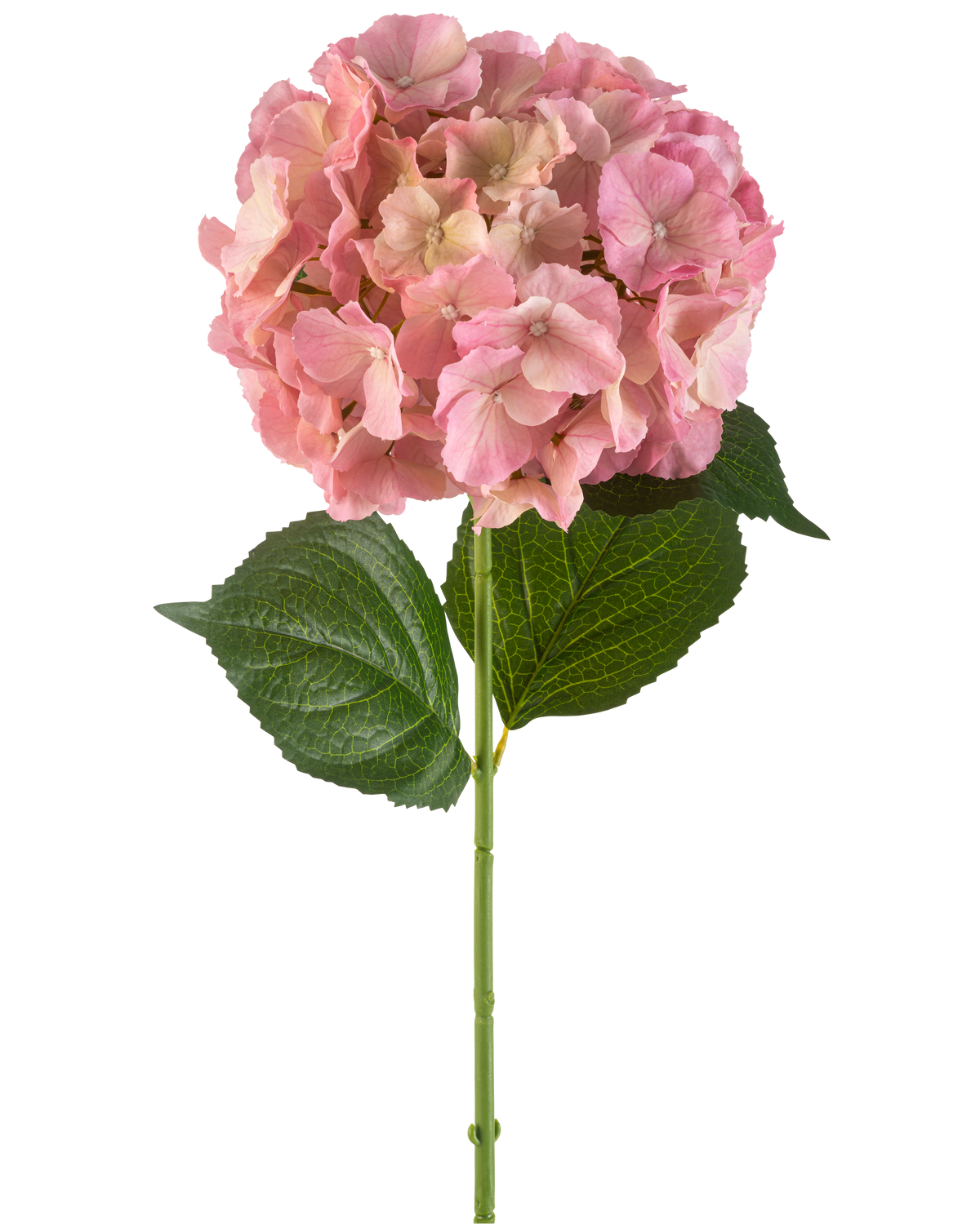 Il fiore artificiale Ortensia rosa 75 cm ha un singolo fiore di ortensia rosa con petali fini e due grandi foglie verdi su un lungo stelo verde, su uno sfondo bianco.