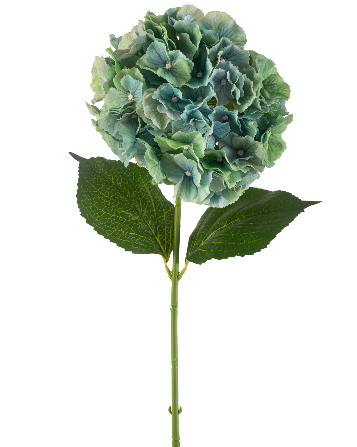 Il fiore artificiale Ortensia 75 cm blu pavone presenta un'unica ortensia artificiale blu con mazzi rotondi di petali e due grandi foglie verdi su un lungo stelo, isolate su uno sfondo bianco.