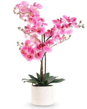 L'orchidea artificiale Real Touch rosa da 68 cm ha un'orchidea rosa vibrante con steli multipli e foglie verdi in un vaso di ceramica bianca, su uno sfondo bianco semplice.