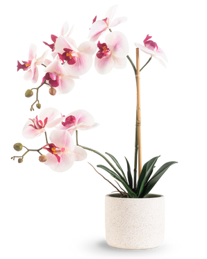 L'orchidea artificiale Real Touch 60 cm rosa/bianco ha fiori rosa chiaro e bianchi con foglie verde scuro, sostenuti da un bastoncino di bambù, su uno sfondo bianco semplice.