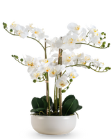 Un'orchidea artificiale Real Touch da 50 cm in bianco, con molteplici fiori e boccioli, elegantemente presentata in un vaso bianco abbinato.