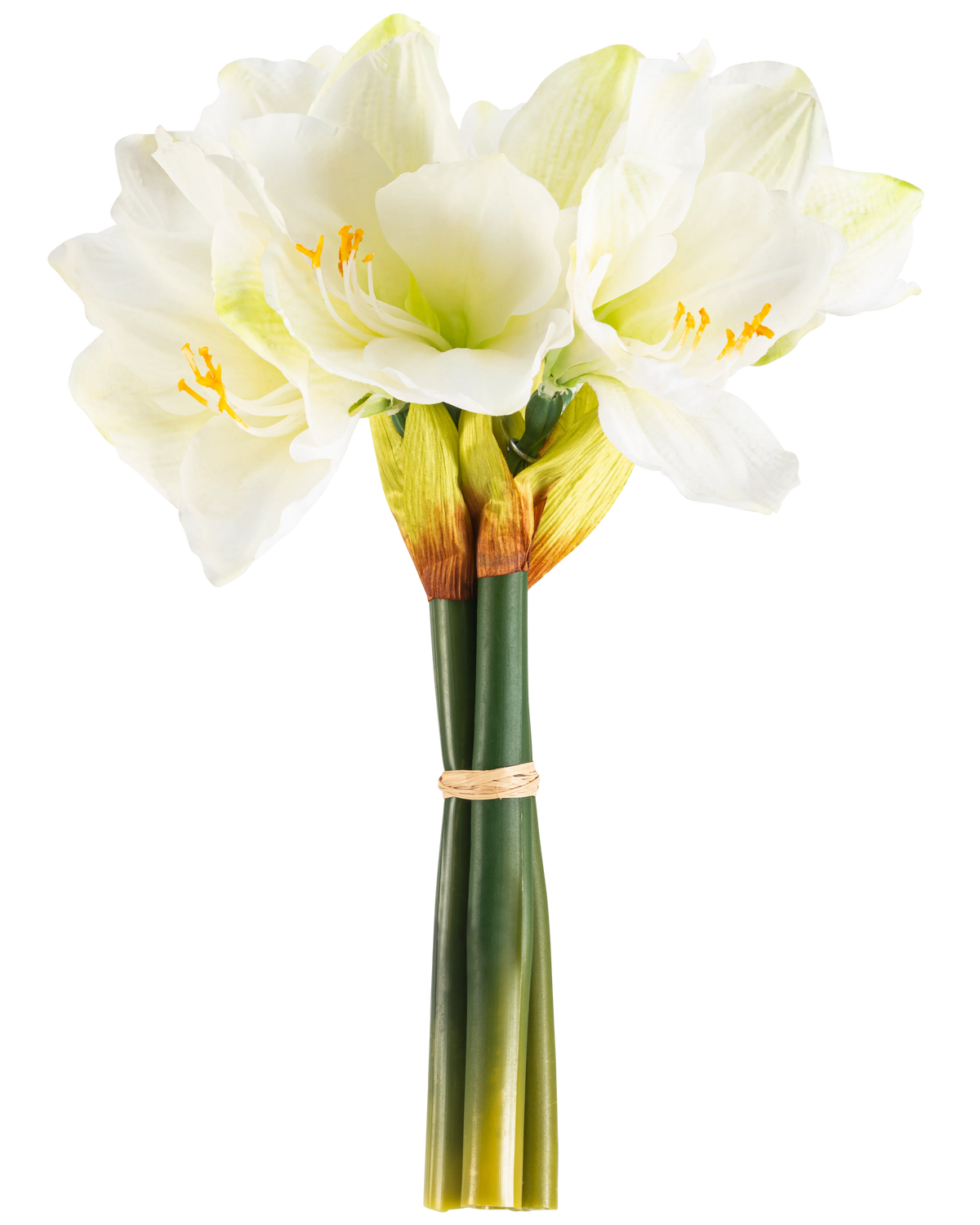 Il fiore artificiale Amaryllis Real Touch bianco da 36 cm ha fiori di amaryllis bianchi realistici con centri verde chiaro e stami gialli, legati con una fascia beige attorno agli steli verdi, perfetti su un semplice sfondo bianco.