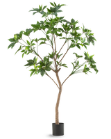 La pianta artificiale Schefflera 180 cm è un alto albero artificiale con foglie verdi e un sottile tronco marrone in un vaso nero, raffigurato su uno sfondo bianco a tinta unita.