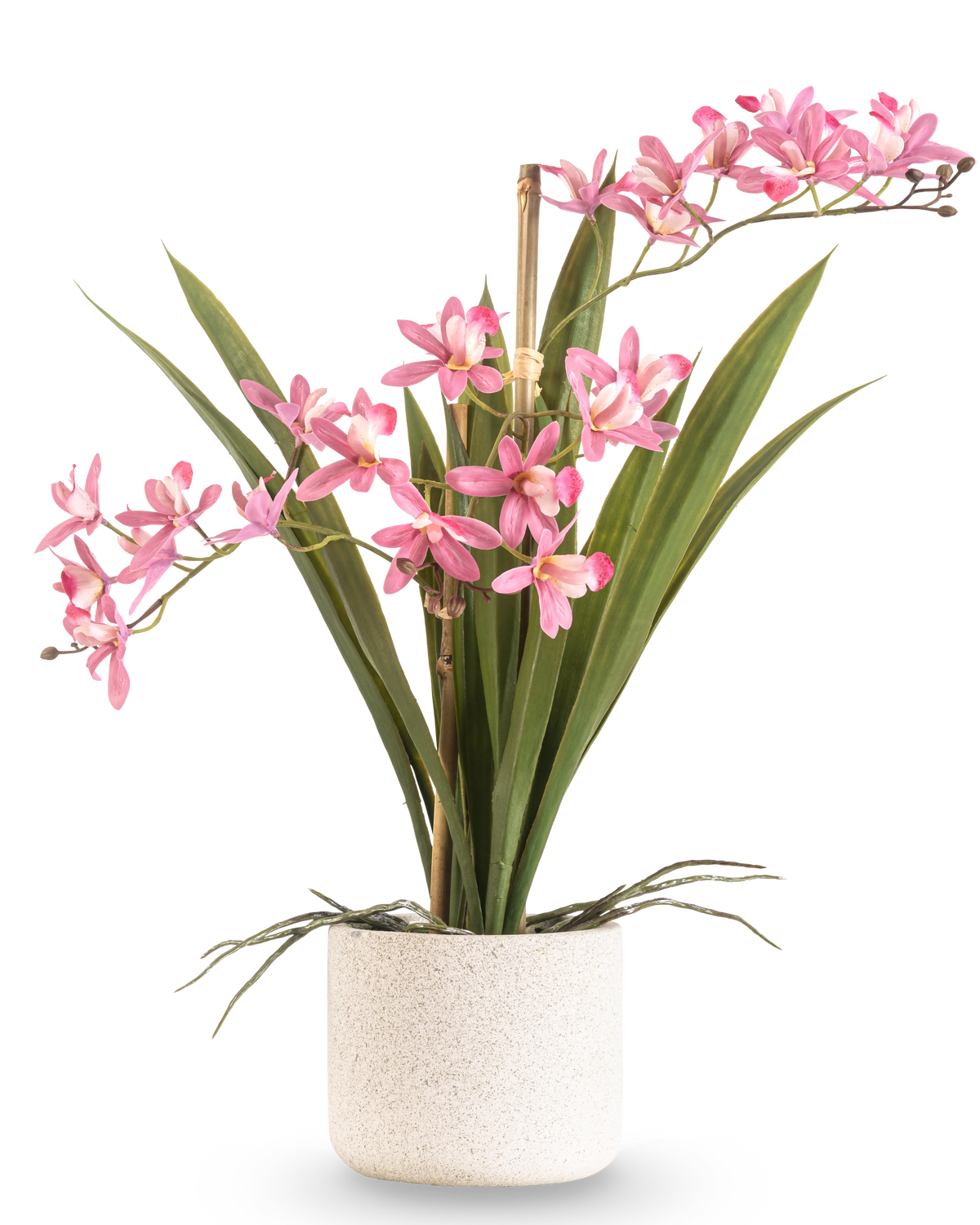 La pianta artificiale Mini Cymbidium Real Touch 45 cm rosa ha lunghe foglie verdi e diversi steli di fiori rosa, disposti in un vaso semplice con struttura bianca e su uno sfondo semplice.