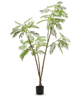 La pianta artificiale Mahonia 210 cm è una pianta artificiale alta in vaso con sottili steli marroni e foglie verdi lunghe e strette, raffigurate su uno sfondo bianco a tinta unita.