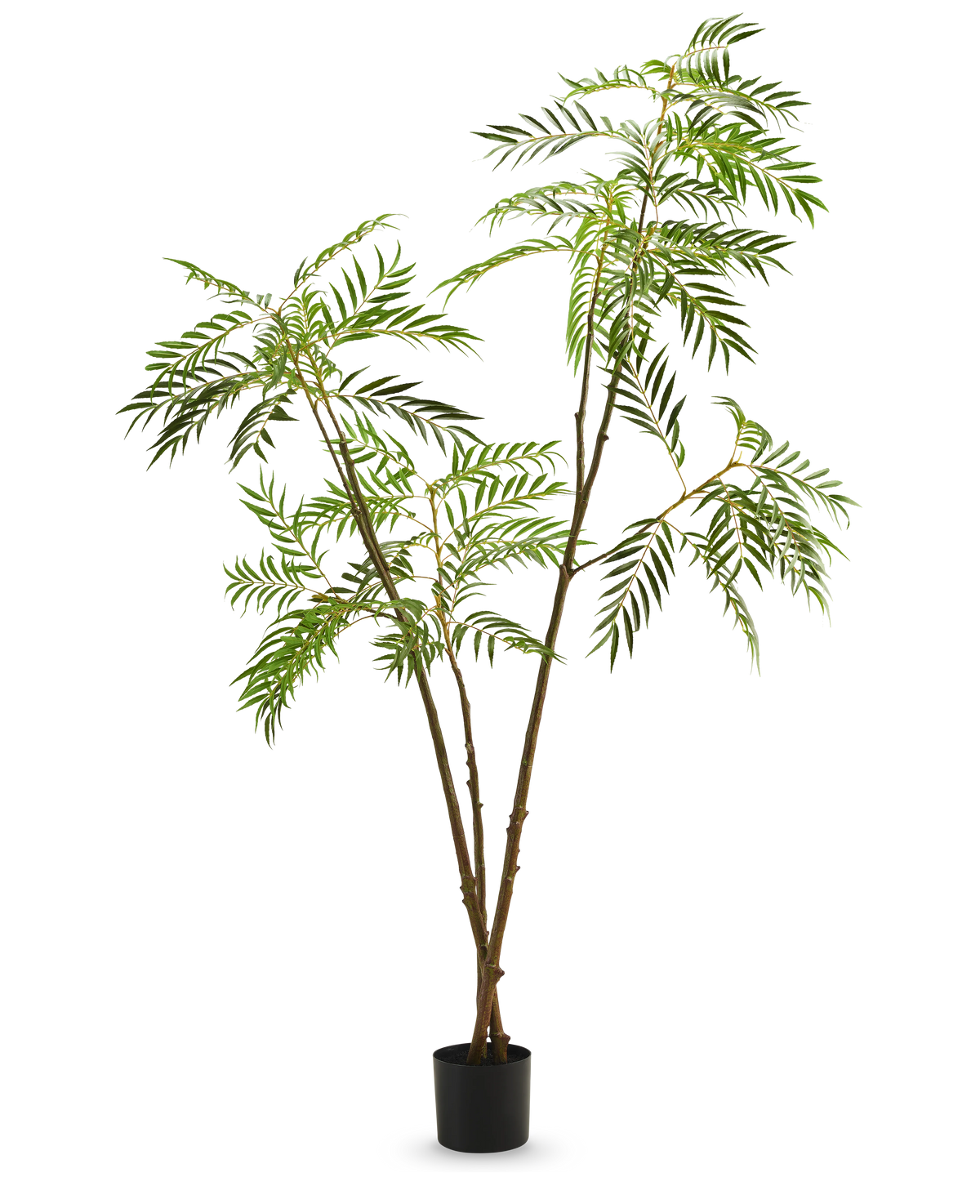La pianta artificiale Mahonia 210 cm è una pianta artificiale alta in vaso con sottili steli marroni e foglie verdi lunghe e strette, raffigurate su uno sfondo bianco a tinta unita.