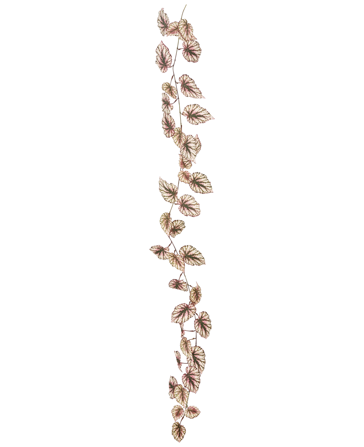 La ghirlanda di begonia artificiale 180 cm UV ha un unico tralcio sottile decorato con tante piccole foglie verdi e rosa, il tutto su uno sfondo bianco netto.
