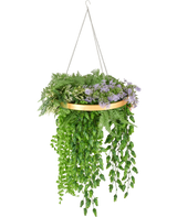 La pianta artificiale di felce pensile UV 40 cm in anello dorato ha una realistica fronda di felce verde pendente disposta in un anello dorato ed è appesa a catene d'argento per un elegante display sospeso.