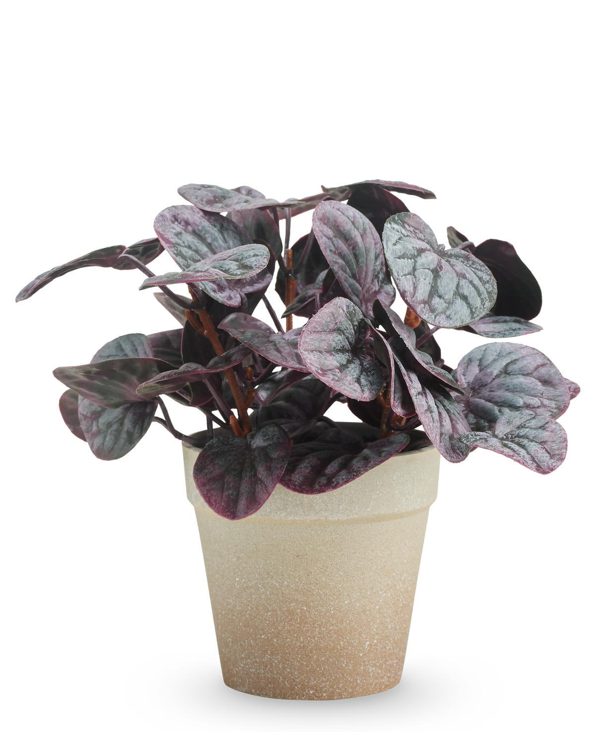La foglia artificiale Rugose grigia da 21 cm ha foglie variegate viola scuro e verde in un vaso marrone chiaro con struttura, presentato su uno sfondo bianco semplice.