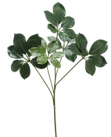 Il Ramo Artificiale Schefflera 50 cm FR ha un unico fusto con diversi mazzi di foglie larghe, verde scuro e alcune foglie verde più chiaro, su sfondo bianco.