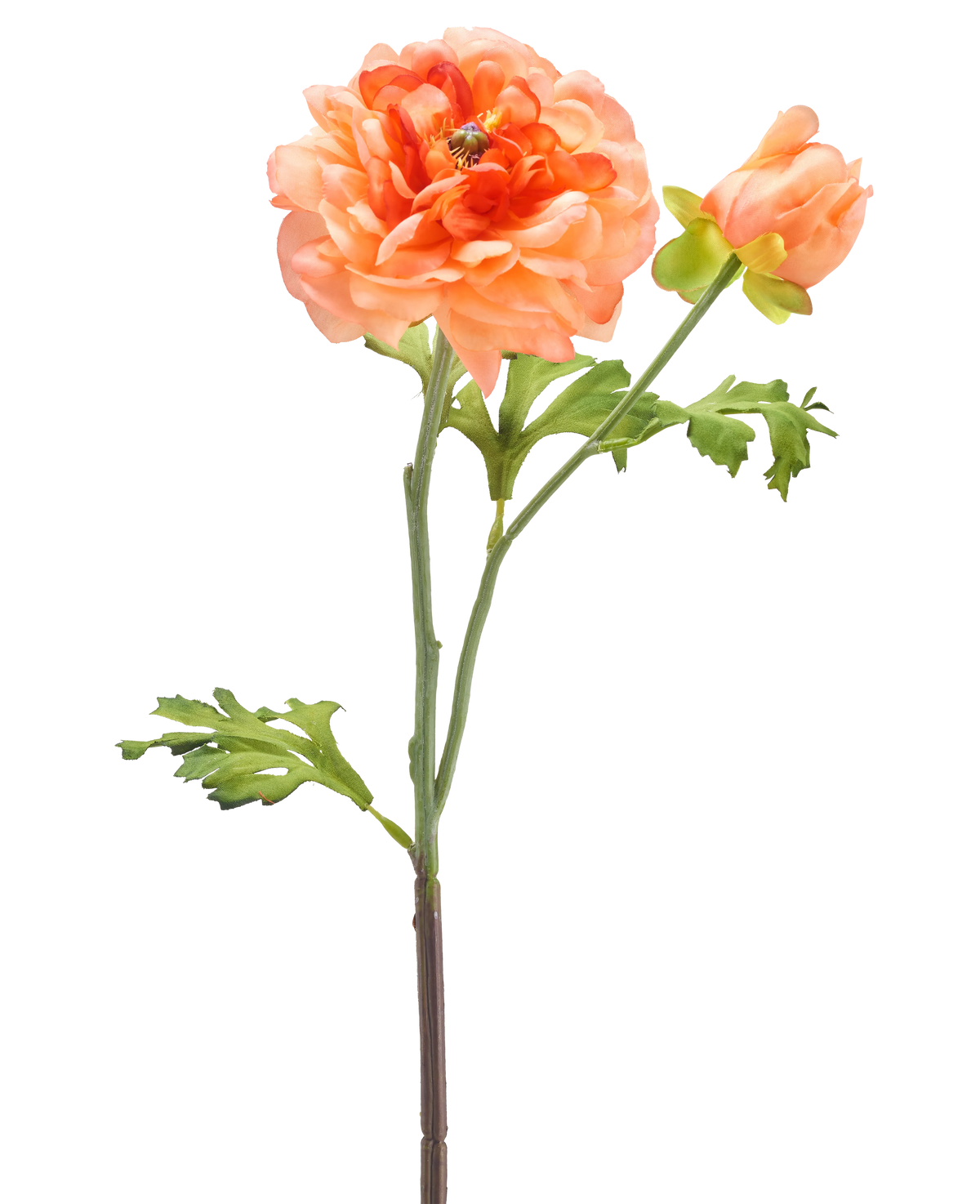 Un unico stelo del fiore artificiale Ranunculus da 51 cm rosa chiaro con un grande fiore rosa chiaro in piena fioritura, un bocciolo più piccolo e foglie verdi su sfondo bianco.