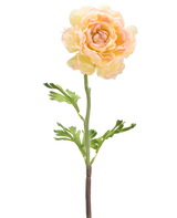 Un fiore artificiale Ranuncolo 51 cm bianco chiaro: un singolo fiore ranuncolo artificiale chiaro con petali bianchi chiari, foglie verdi e un lungo stelo su uno sfondo bianco.