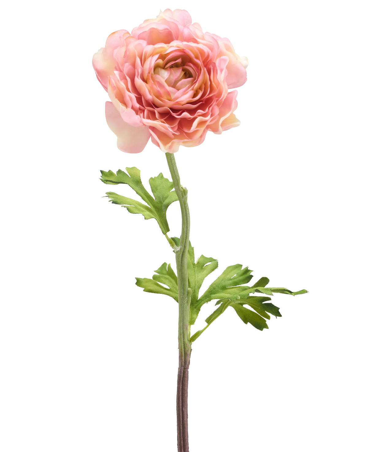 Il fiore artificiale Ranunculus rosa da 51 cm ha un singolo ranuncolo rosa con petali stratificati e foglie verdi su un lungo stelo, isolato su uno sfondo bianco.