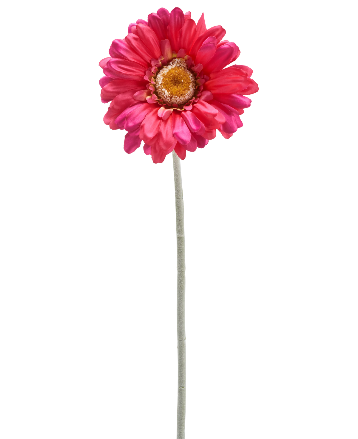 Un unico fiore di Gerbera artificiale di 53 cm bordeaux con un lungo gambo verde, isolato su sfondo bianco.