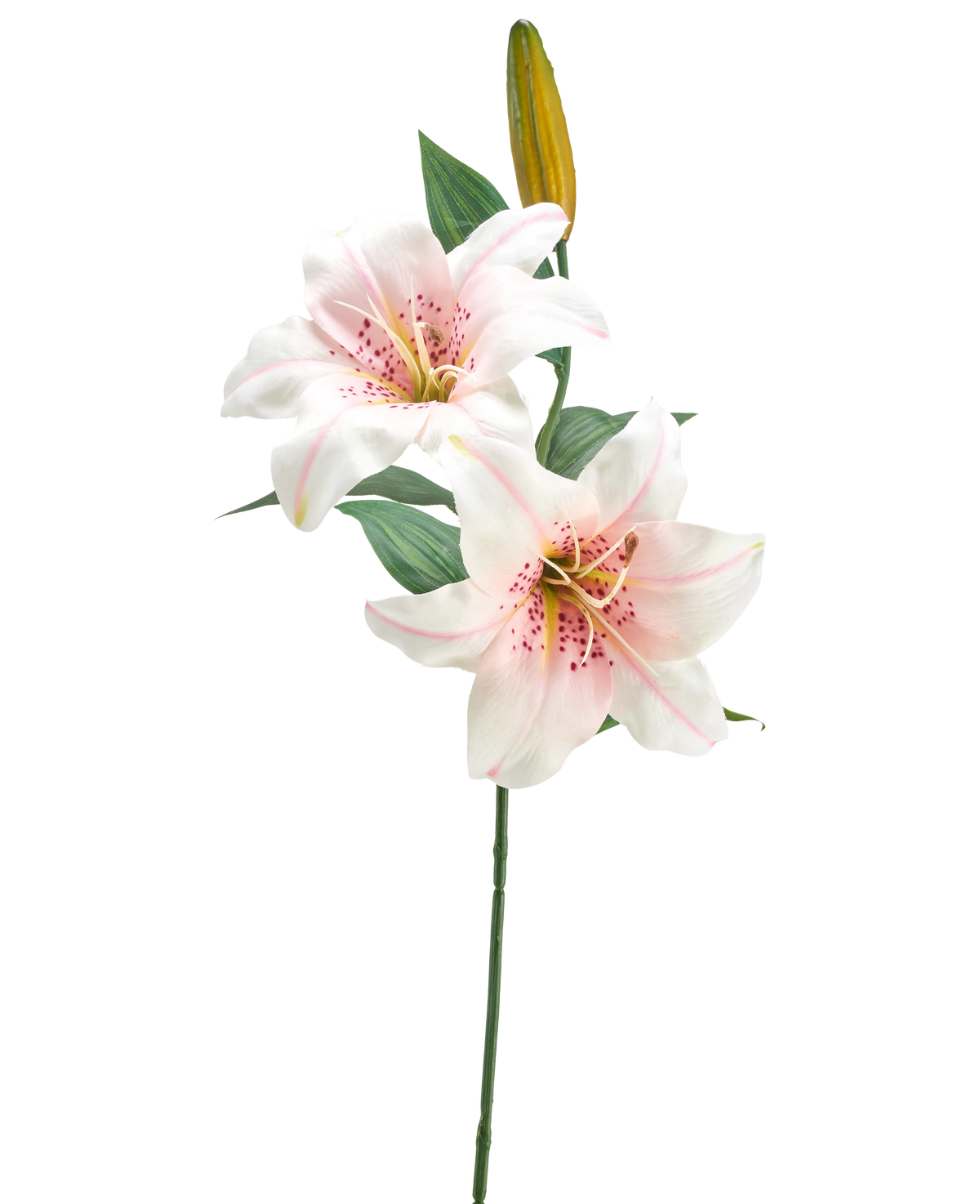 Il fiore artificiale Giglio bianco/rosa da 66 cm ha un unico stelo con due gigli bianchi e rosa aperti, un bocciolo giallo chiuso e foglie verdi, su uno sfondo bianco semplice.