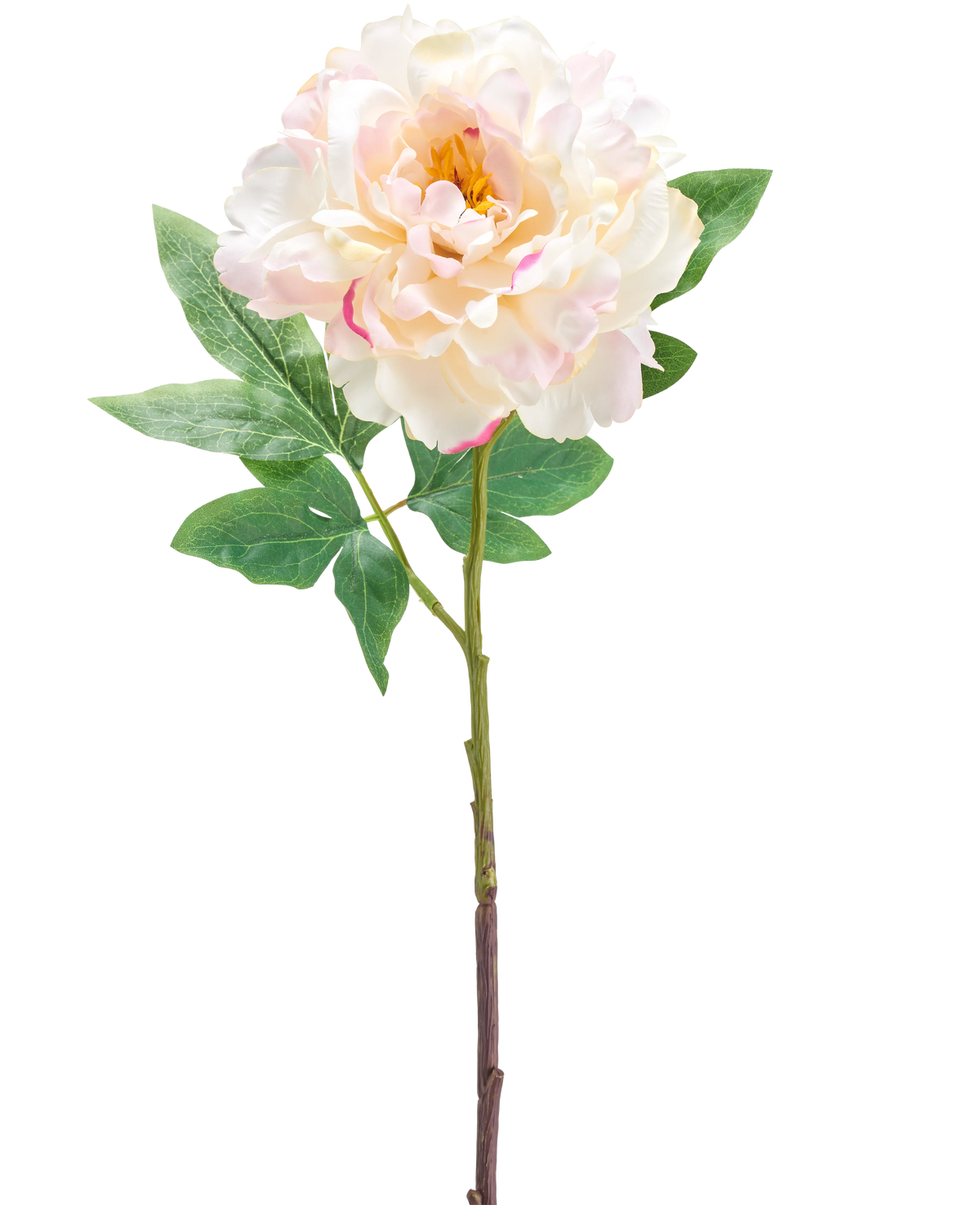 Il fiore artificiale di peonia crema da 61 cm è un singolo fiore di peonia artificiale rosa chiaro e crema con foglie verdi e un lungo stelo, raffigurato su uno sfondo bianco.