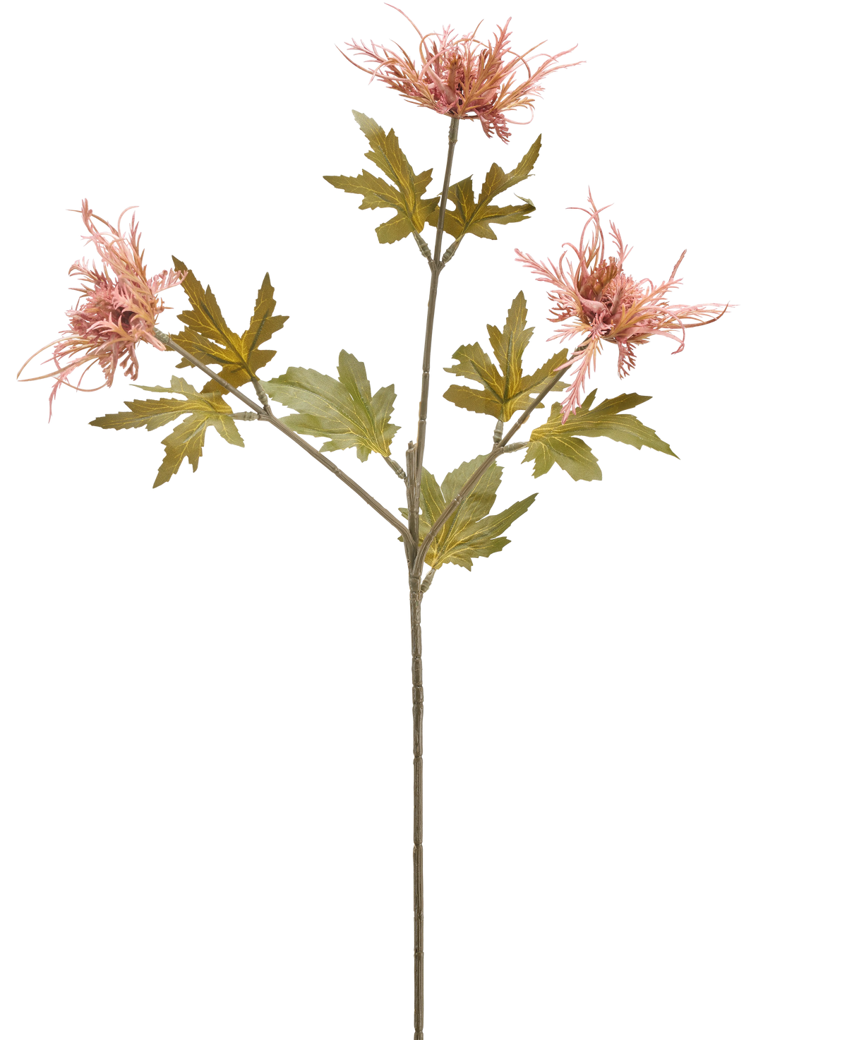 Un singolo stelo di fiore di cardo artificiale arancione di 60 cm con tre fiori arancioni appuntiti e diverse foglie verdi seghettate, isolate su uno sfondo bianco.