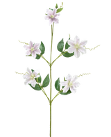 Il fiore artificiale Celematis bianco da 78 cm ha un unico stelo verde con cinque fiori bianchi a forma di stella, molteplici foglie verdi disposte simmetricamente e viticci arricciati. Lo sfondo è bianco semplice.