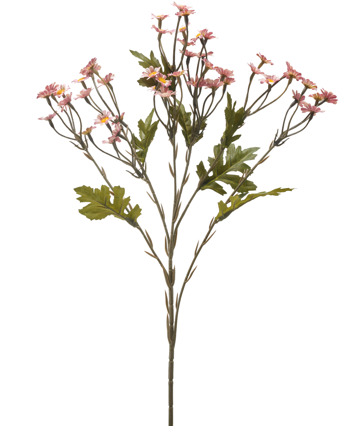 Il fiore artificiale Mini Margherita 61 cm malva è uno stelo singolo con rami multipli, decorato con piccoli fiori color malva e foglie verdi, isolati su sfondo bianco.