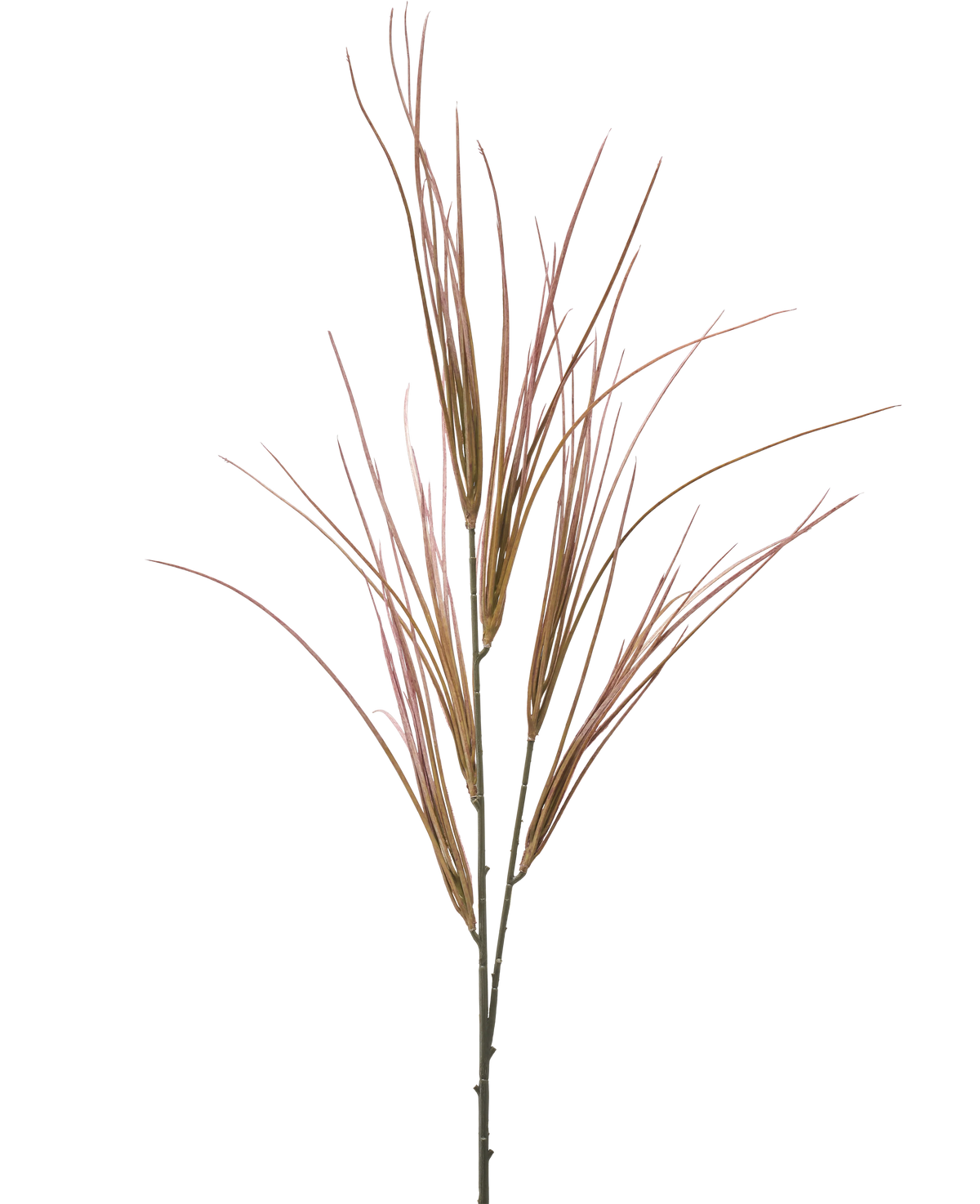 Il ramo artificiale malva da 104 cm ha un unico stelo alto con molteplici foglie lunghe, sottili, color malva e verdi simili a erba che si aprono a ventaglio, isolate su un semplice sfondo bianco.