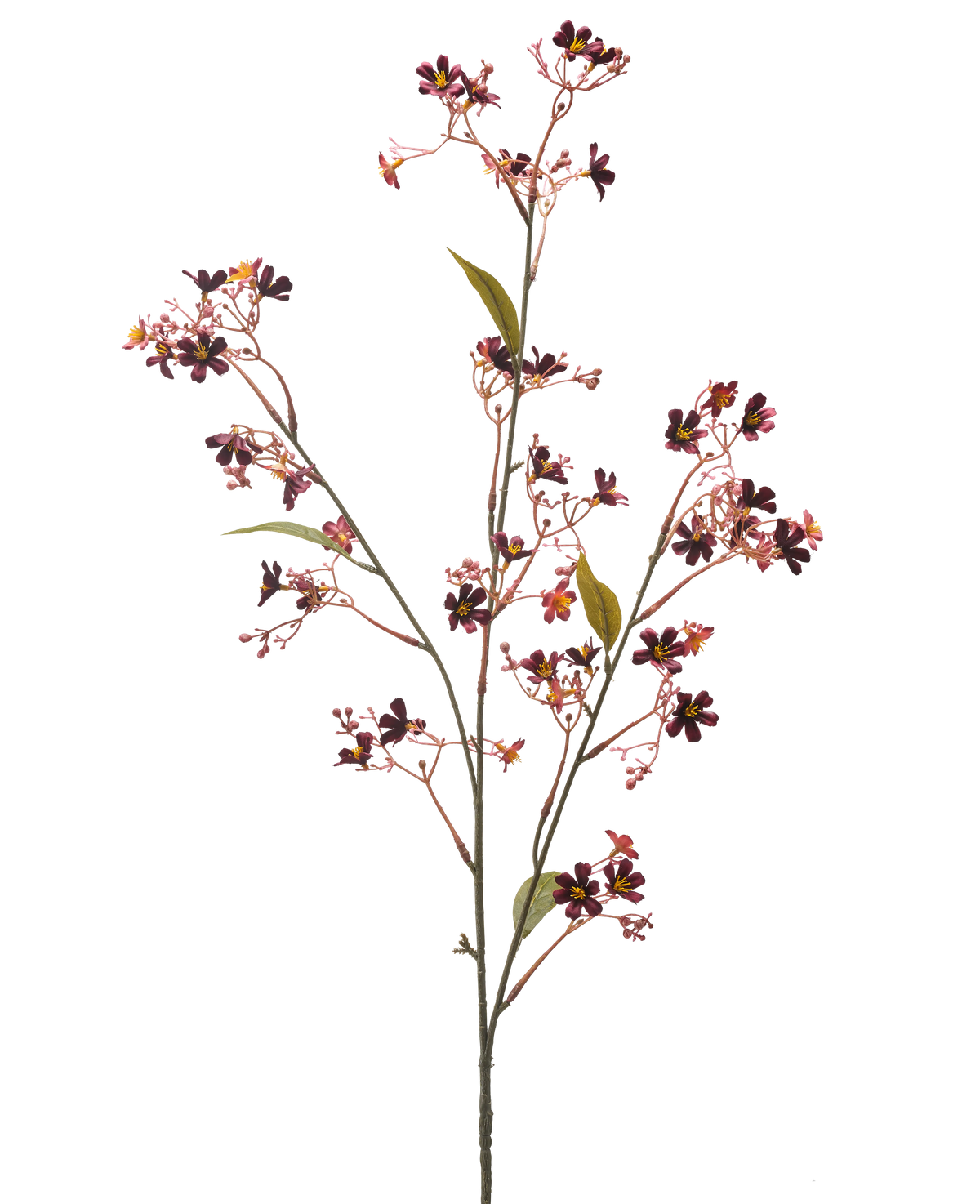 Il fiore artificiale Daphne 108 cm bordeaux ha un unico stelo con diversi rami sottili, piccoli fiori viola scuro e rosa con un cuore giallo e alcune foglie verdi su uno sfondo bianco semplice.