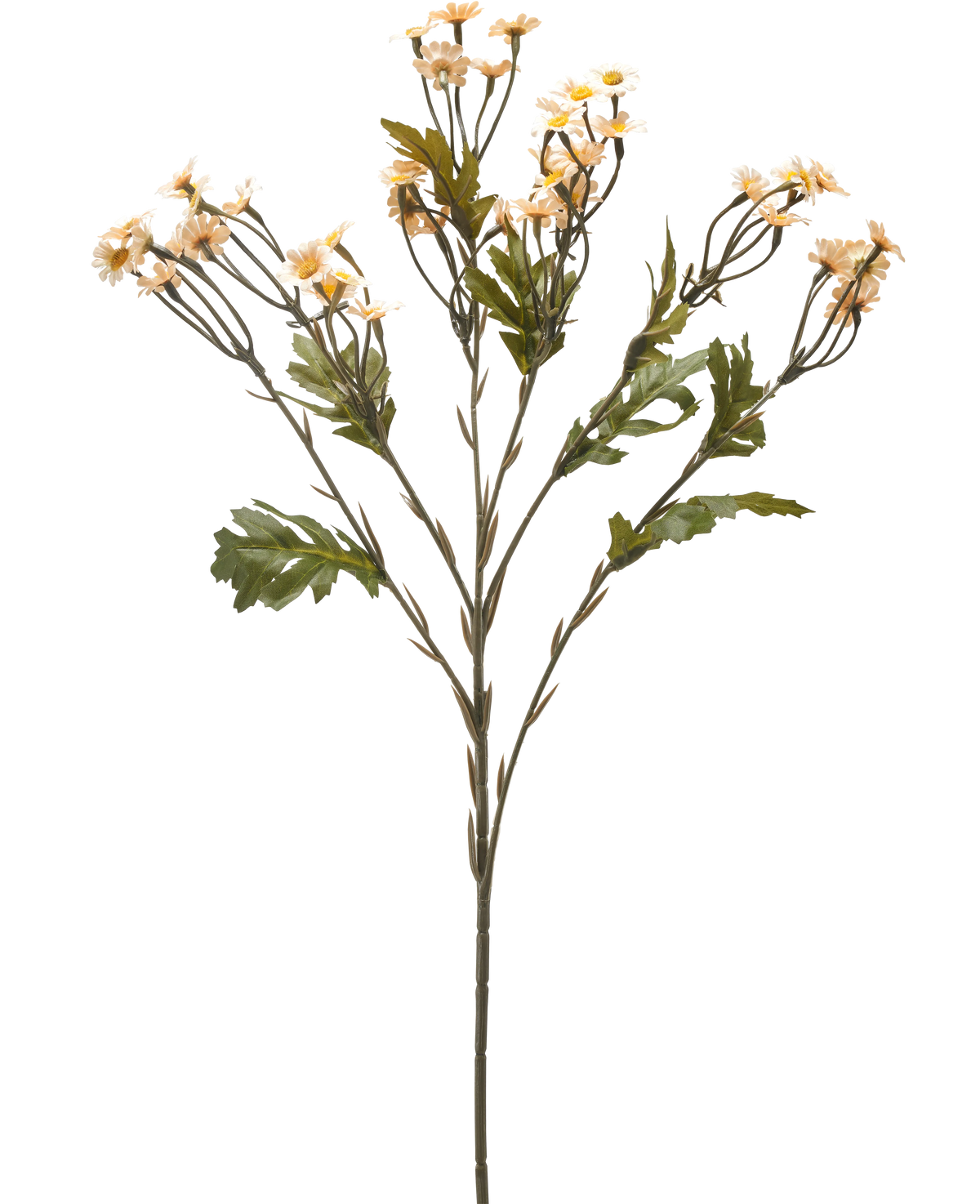 Il fiore artificiale Mini Daisy crema da 61 cm è un singolo stelo di fiore artificiale con rami multipli, foglie verdi e piccoli fiori color crema simili a margherite su uno sfondo bianco semplice.