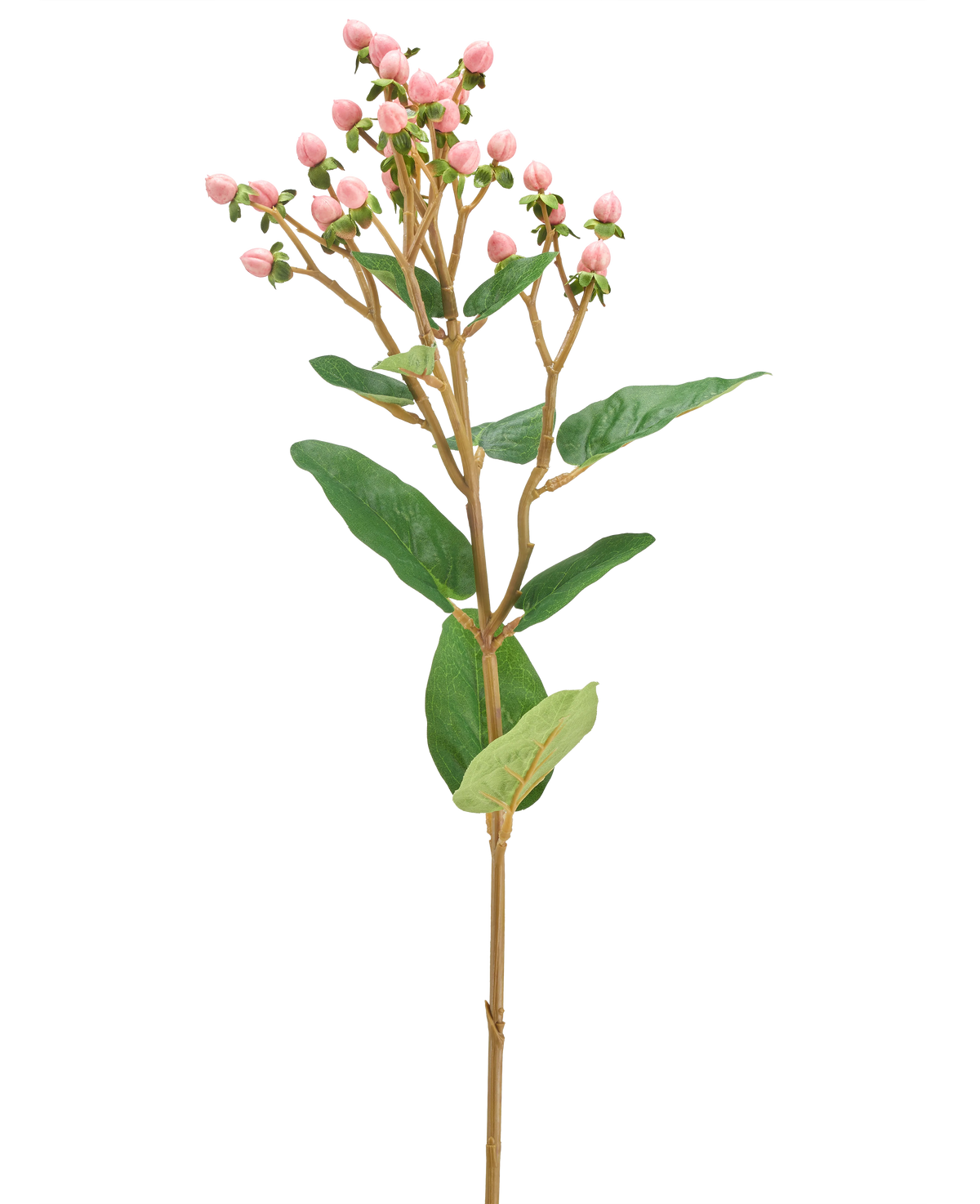 Il fiore artificiale Hypericum rosa da 65 cm ha mazzi di piccoli boccioli di fiori rosa e foglie verdi su un lungo e sottile stelo marrone, su uno sfondo bianco semplice.