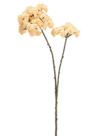 Due alti Sedum di fiori artificiali che misurano 70 cm con steli color crema con steli verde-marroni e mazzi di fiori pom-pom appuntiti color crema sono mostrati su un semplice sfondo bianco.