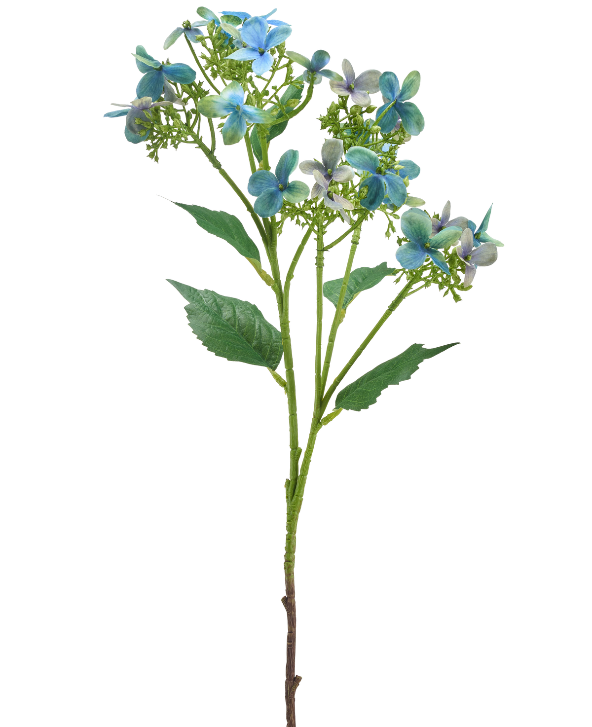 Il fiore artificiale Ortensia selvatica 62 cm blu/verde ha un unico stelo artificiale con mazzi di fiori blu e verdi e alcune foglie verdi, raffigurate su sfondo bianco.