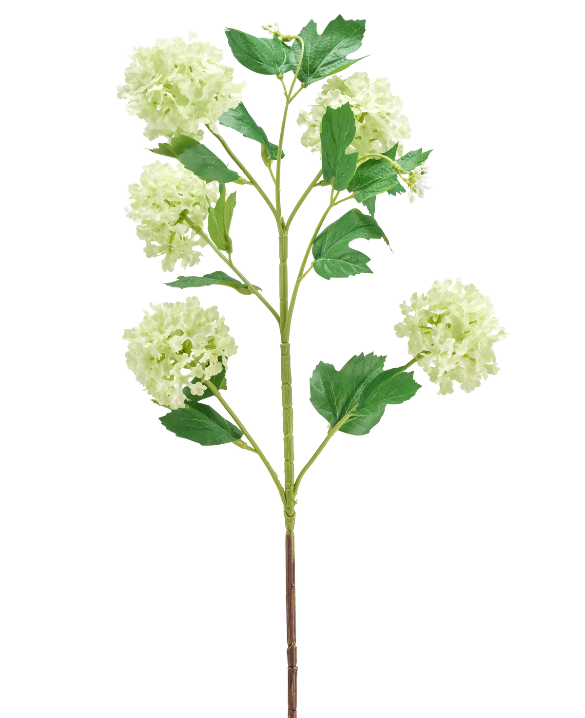Il fiore artificiale Palla di neve verde da 77 cm ha un unico stelo verde con più rami, ciascuno decorato con mazzi di fiori rotondi di colore verde chiaro e diverse foglie verdi, il tutto isolato su uno sfondo bianco.