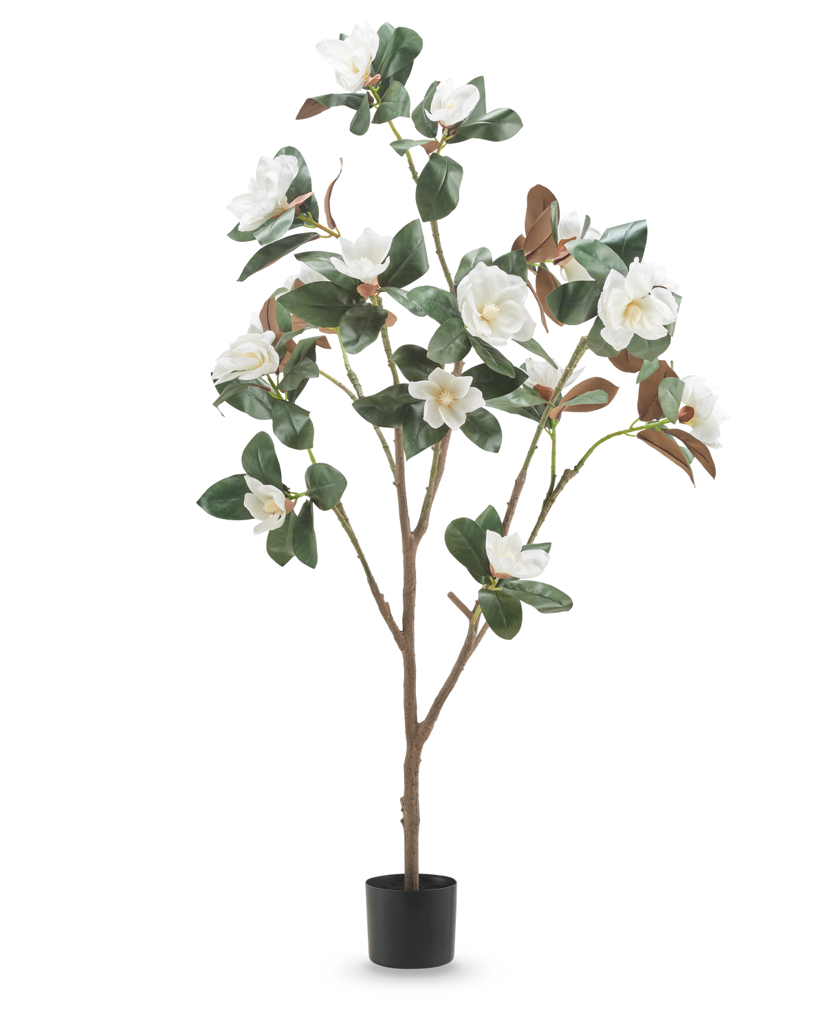 La pianta artificiale Yulania con fiore da 150 cm è un'alta magnolia artificiale con rami multipli, foglie verdi lussureggianti e fiori bianchi in un piccolo vaso nero, su uno sfondo bianco semplice.