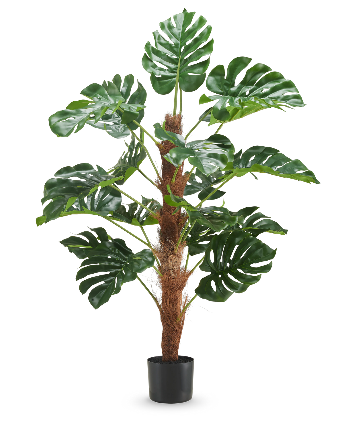 La pianta artificiale Monstera 120 cm è una pianta artificiale in vaso con grandi foglie verdi lucide e uno stelo marrone con texture su uno sfondo bianco a tinta unita.