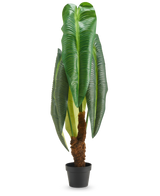Una pianta artificiale Anthurium alta 120 cm con grandi foglie verdi lucide e uno stelo marrone con struttura, presentata in un piccolo vaso nero su sfondo bianco.