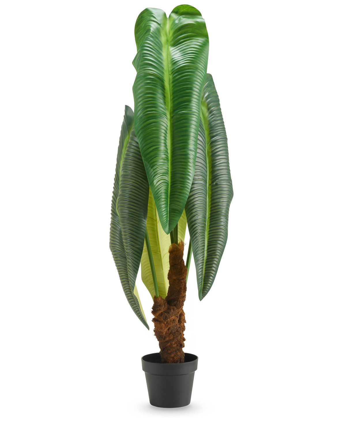 Una pianta artificiale Anthurium alta 120 cm con grandi foglie verdi lucide e uno stelo marrone con struttura, presentata in un piccolo vaso nero su sfondo bianco.