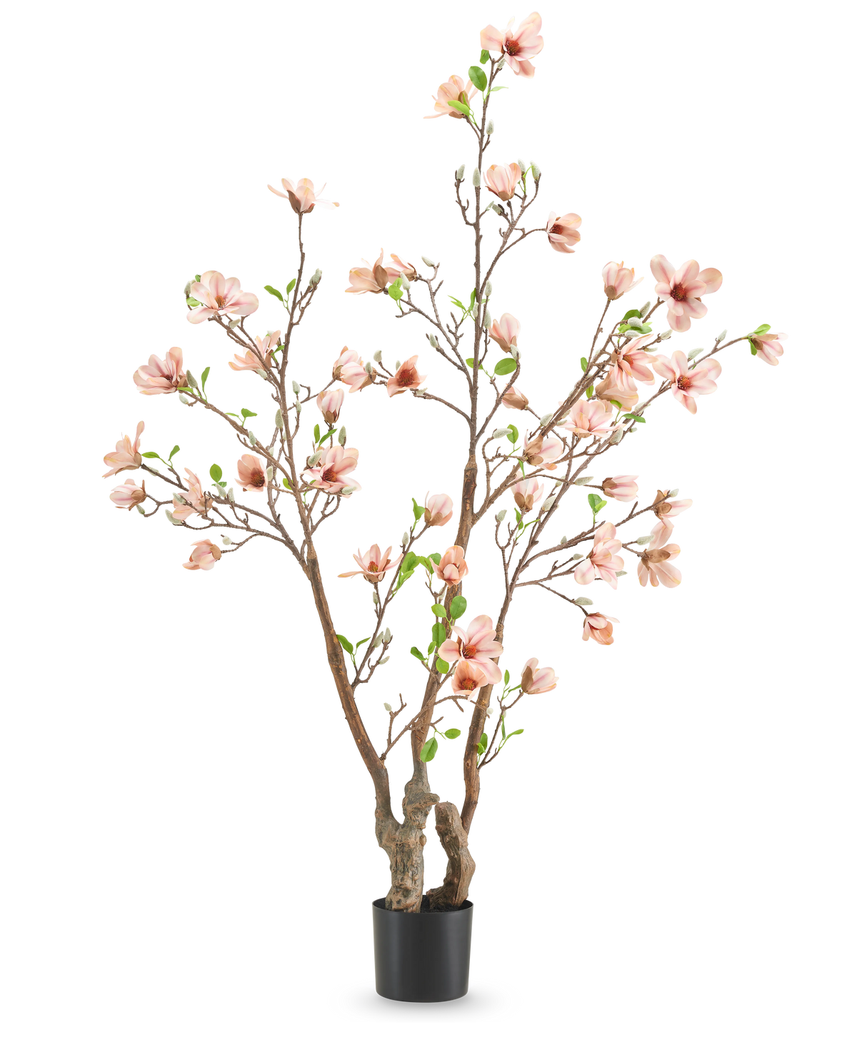 La pianta artificiale Magnolia 180 cm è un albero artificiale in vaso con rami multipli, fiori rosa chiaro e foglie verdi su uno sfondo bianco a tinta unita.