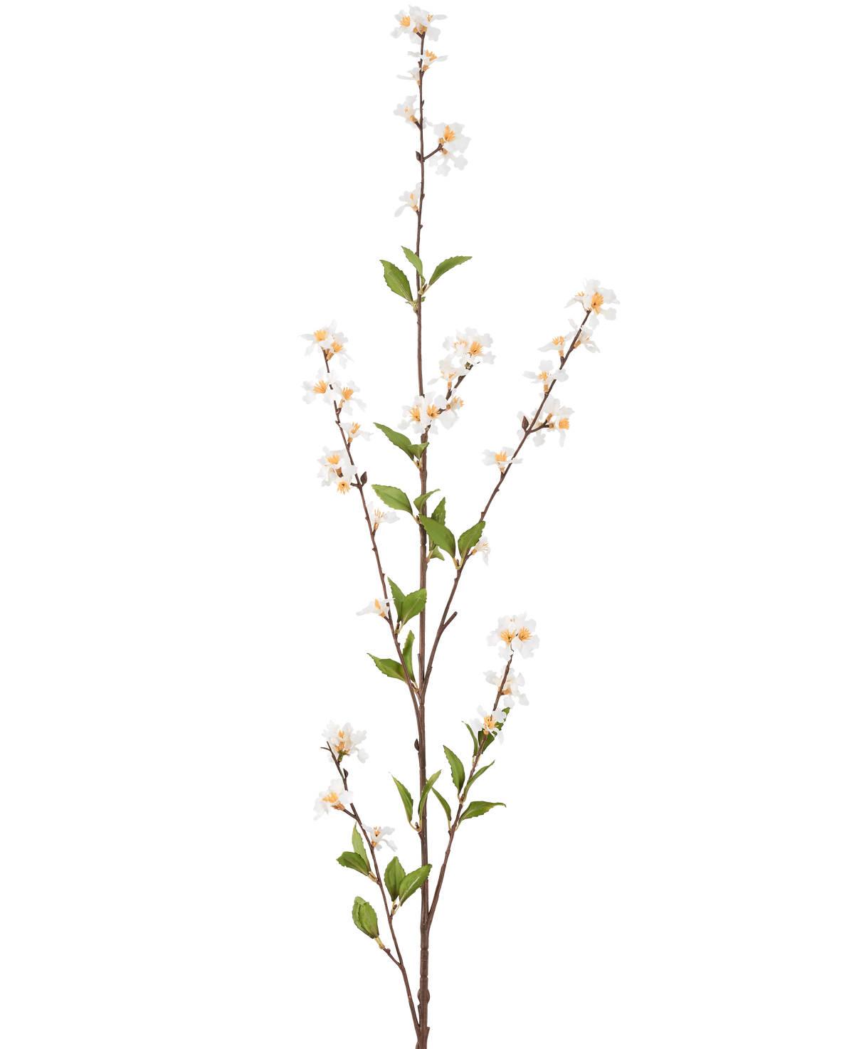 Il fiore artificiale fiori crema da 119 cm ha un unico ramo alto con fiori color crema e foglie verdi lungo i sottili steli marroni, su uno sfondo bianco semplice.