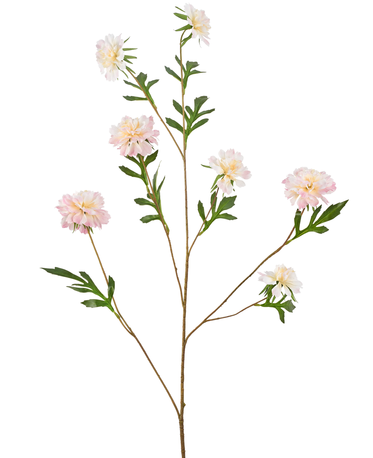 Il fiore artificiale fiordaliso 112 cm rosa chiaro ha uno stelo lungo e sottile con diversi rami, ciascuno con fiori rosa chiaro simili a peonie e foglie verdi, su uno sfondo bianco semplice.