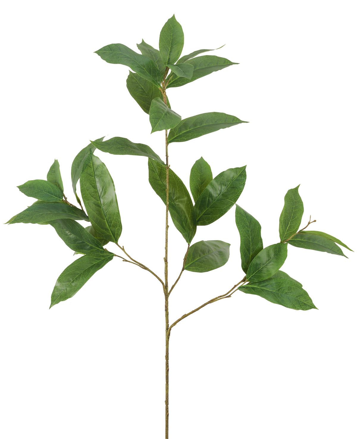 Il ramo artificiale con foglie verdi da 102 cm ha un unico ramo sottile con molteplici germogli, ciascuno decorato con diverse foglie allungate di colore verde lucido, su uno sfondo bianco semplice.