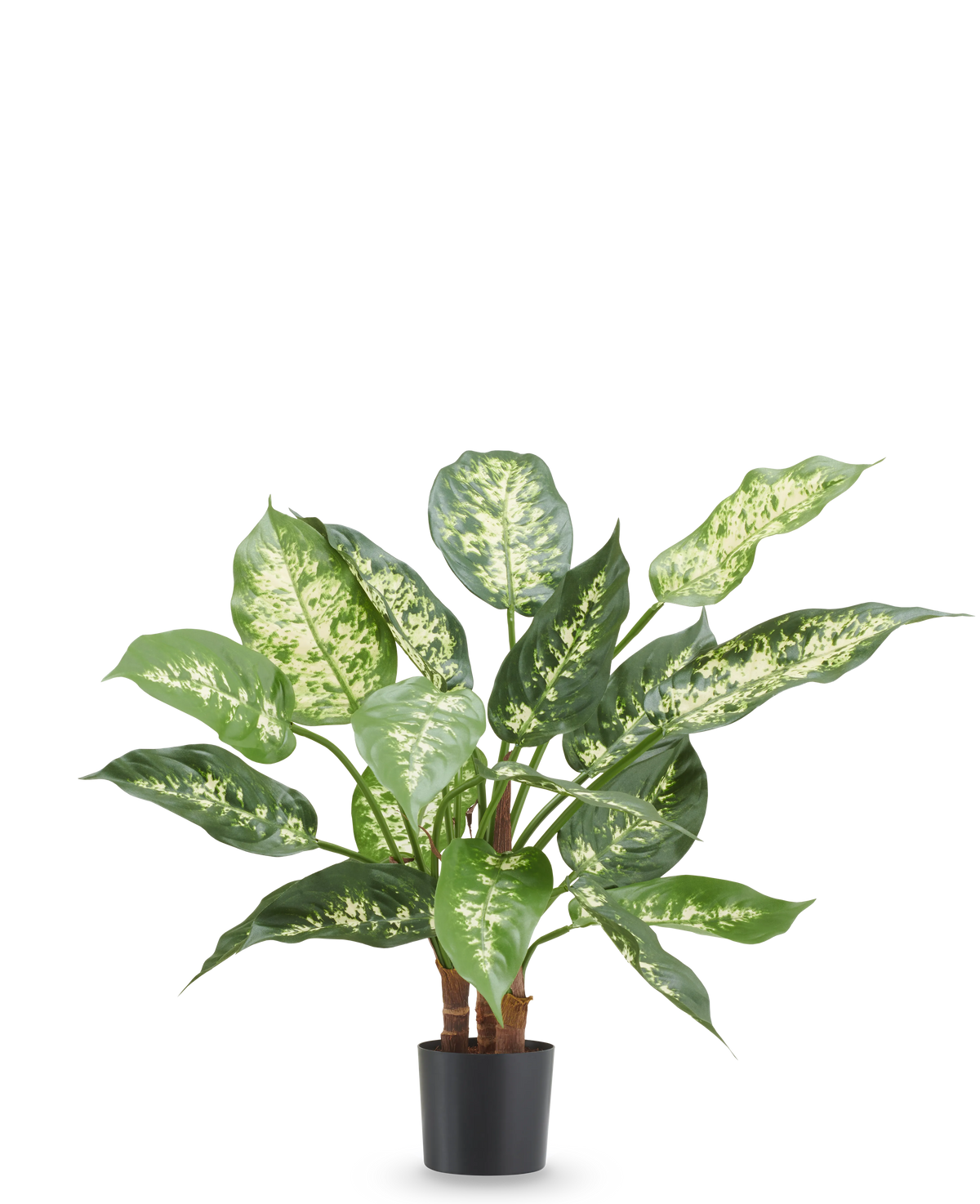 Pianta artificiale Dieffenbachia 40 cm, pianta artificiale ignifuga con foglie verde brillante e bianche in vaso nero.