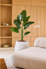 Una pianta di Strelitzia artificiale di 150 cm real touch2 con foglie realistiche si trova accanto a un moderno divano beige in una stanza con pannelli in legno e scaffali incorporati decorati con decorazioni minimaliste.