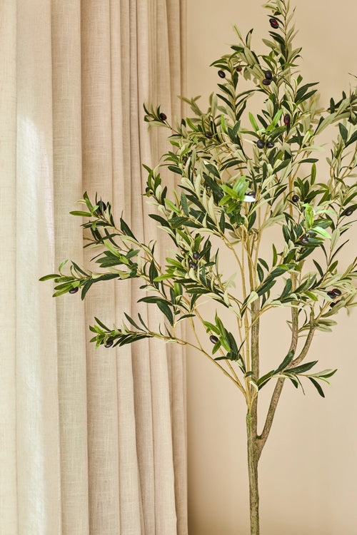 Un olivo artificiale di 150 cm, decorato con olive scure, sembra attraente in interni accanto a tende beige e una parete marrone chiaro e fornisce un aspetto calmo e naturale - ideale per qualsiasi interno con un olivo.