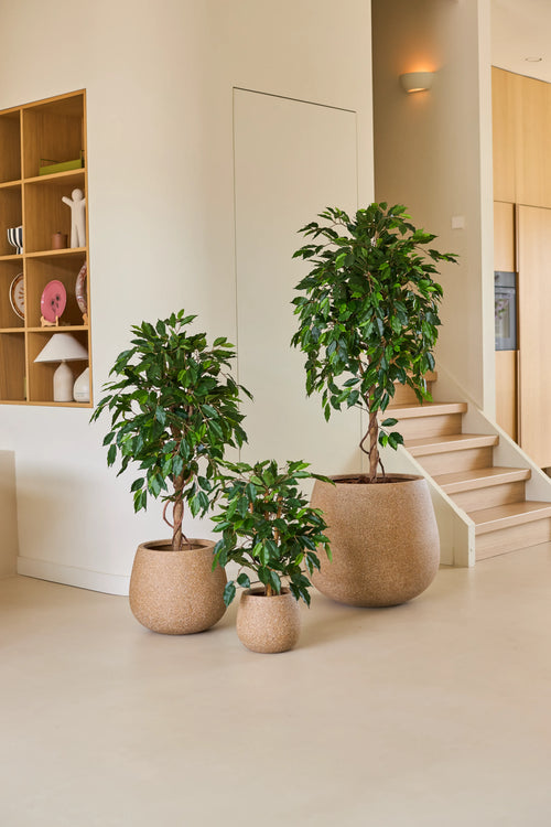 Tre piante d'appartamento in vasi di diverse dimensioni, tra cui la pianta artificiale Ficus Green da 90 cm, sono disposte su un pavimento chiaro vicino a una scala, con ripiani in legno e accessori per la casa sullo sfondo: una disposizione ideale di piante da ufficio per qualsiasi spazio di lavoro moderno.